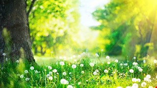 
新進醫師介紹-盧敏吉醫師(感染科) 2016-09